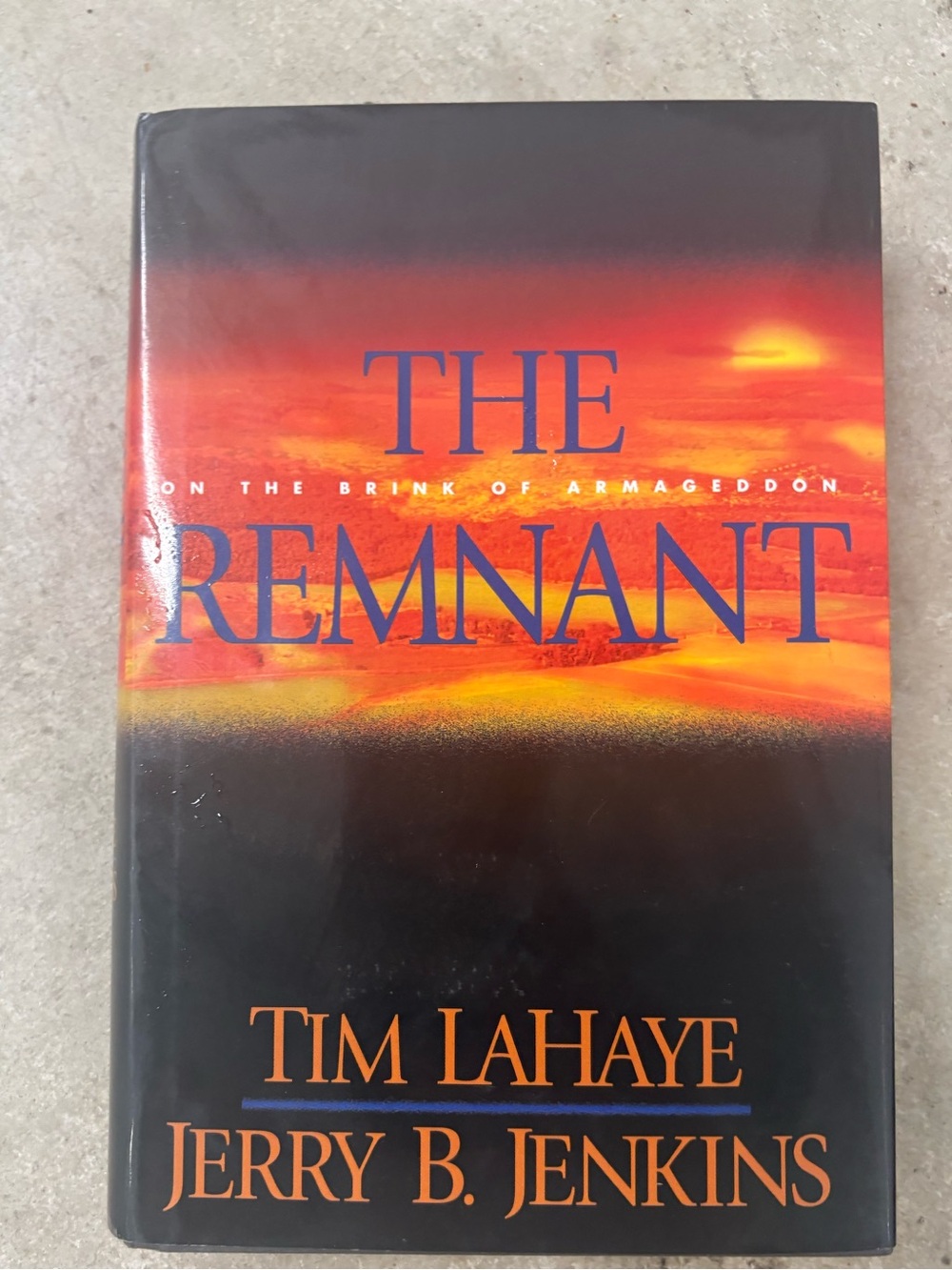The Remnant: On the Brink of Armageddon Left Behind Vol 10 HC 2002